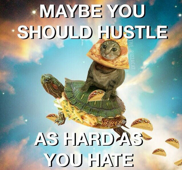 Combat Flip Flops Cat Riding a Turtle Click bait hustle