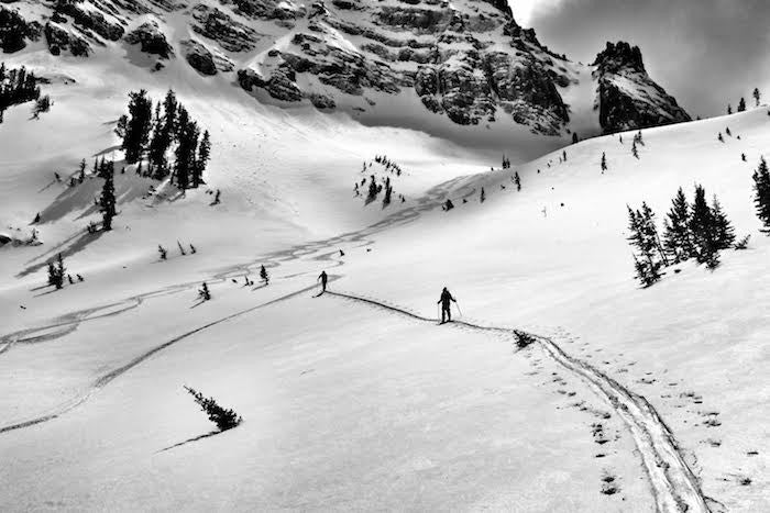 Climate Recon: Grizzly Habitat and Powder Skiing Workshop